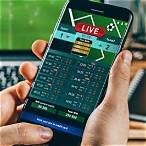 bet sports betting